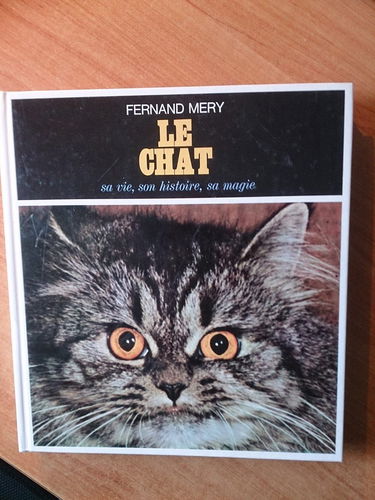 Le chat, sa vie, son histoire, sa magie