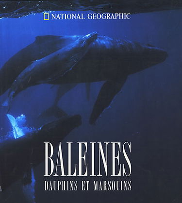 Baleines, dauphins et marsouins