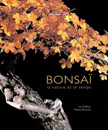 Bonsaï : la nature et le temps