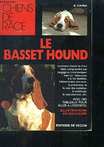 Le Basset Hound