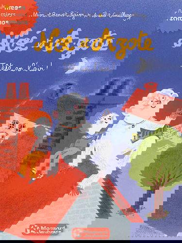 Noé et Azote. Vol. 7. Tête en l'air !