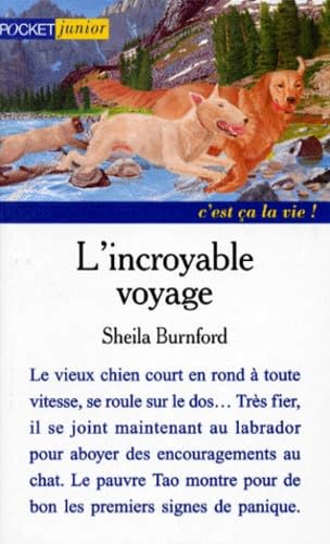 L'incroyable voyage