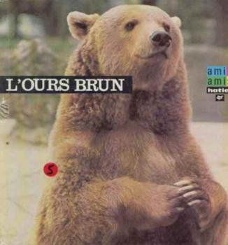 L'ours brun