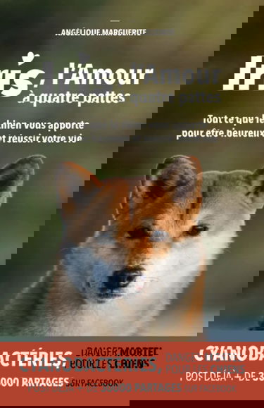 Iris, l'Amour à quatre pattes: Tout ce que le chien vous apporte pour être heureux et réussir votre vie