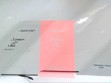 L'Envers de Caïn : Roman libanais (Bibliothèque cosmopolite)