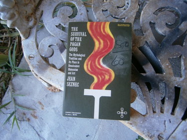 Couverture de Survival of the Pagan Gods