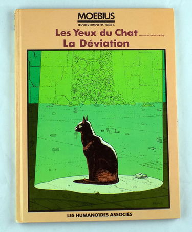 Les yeux du chat