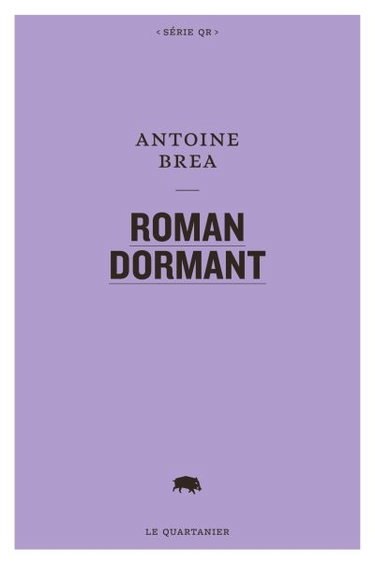 Couverture de Roman Dormant