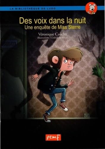 Des voix dans la nuit: Une enquête de Miss Sterre