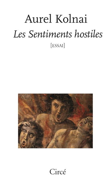 Les sentiments hostiles : essai