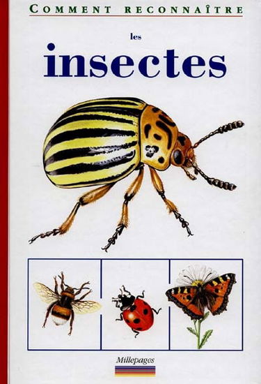 Les insectes