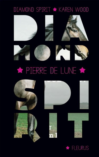 Diamond spirit. Vol. 2. L'esprit du cheval sauvage