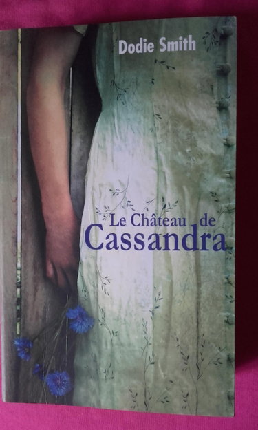 Couverture de LE CHATEAU DE CASSANDRA