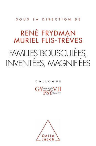 Familles bousculées, inventées, magnifiées