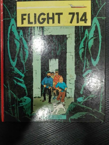 Couverture de Flight 714
