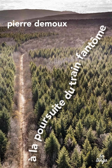 Couverture de A la poursuite du train fantôme : 85 kilomètres à pied dans le Morvan