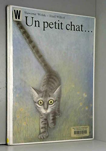 Un Petit chat