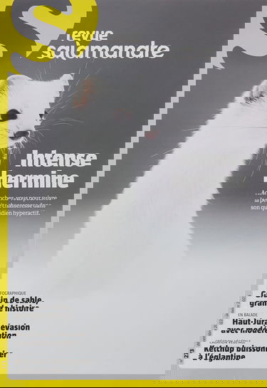 Revue La Salamandre n°273 - Intense hermine: décembre 2022/janvier 2023