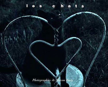 Les chats