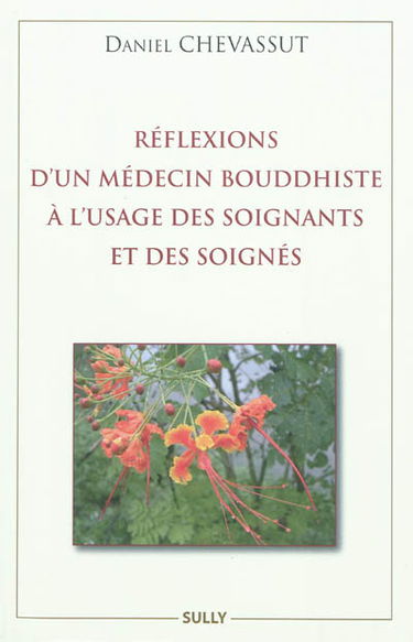 Réflexions d'un médecin bouddhiste à l'usage des soignants et des soignés