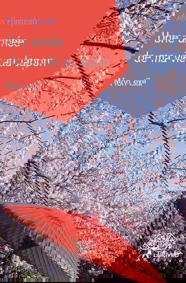 Une année de ma vie au japon : mon exil
