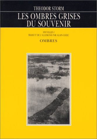 Les ombres grises du souvenir