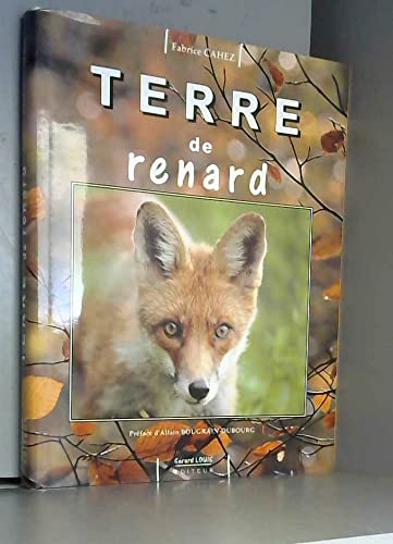 Terre de renard