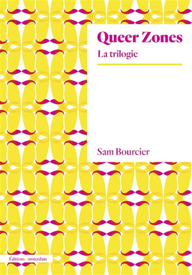 Couverture de Queer zones : la trilogie
