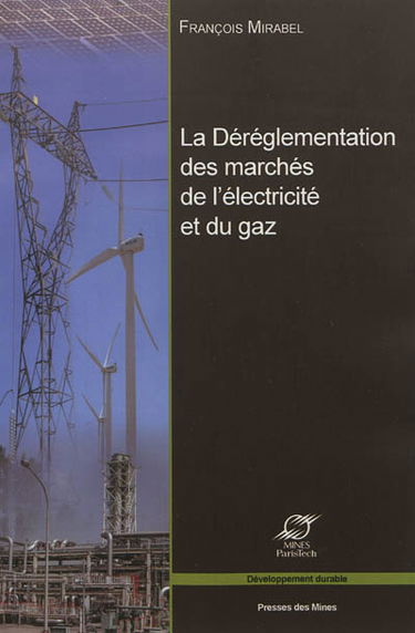 La déréglementation des marchés de l'électricité et du gaz : les grands enjeux économiques