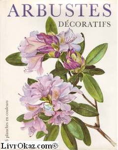 Arbustes décoratifs.