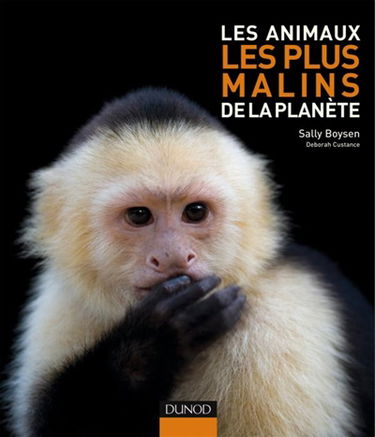 Les animaux les plus malins de la planète