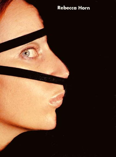 Rebecca Horn : exposition, Musée de Grenoble, 4 mars-31 mai 1995