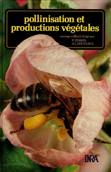 Pollinisation et productions végétales