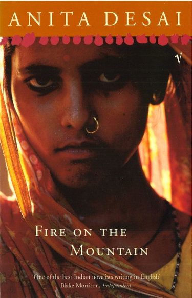 Couverture de Fire On The Mountain