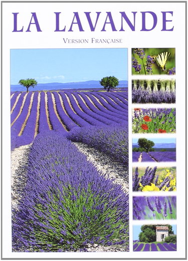 Couverture de La lavande