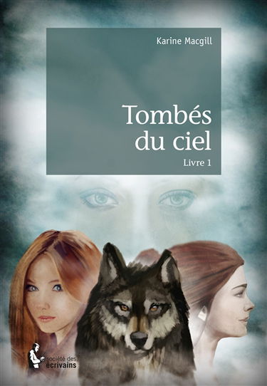 Tombés du ciel : livre 1