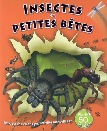 Couverture de Insectes et petites bêtes : jeux, dessins, coloriages, activités manuelles et plus de 50 autocollants