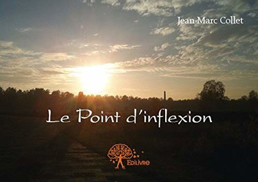 Couverture de Le point d'inflexion