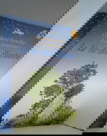 La vie des plantes (Le monde merveilleux de la connaissance)
