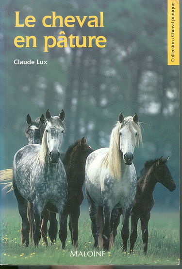 Le Cheval en pâture