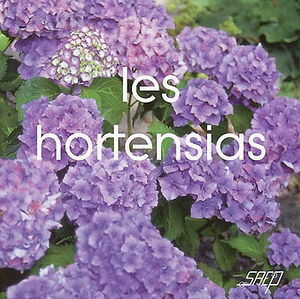 Les hortensias