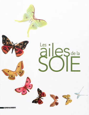 Couverture de Les ailes de la soie