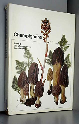 Champignons - Tome 2: Les champignons sans lamelles