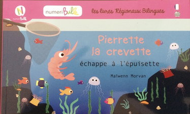 Couverture de PIERRETTE LA CREVETTE (Fr-Breton)