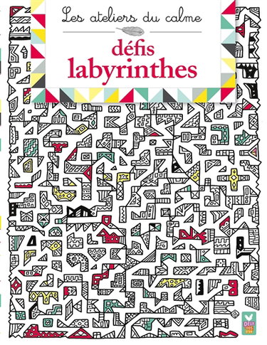 Couverture de Défis labyrinthes