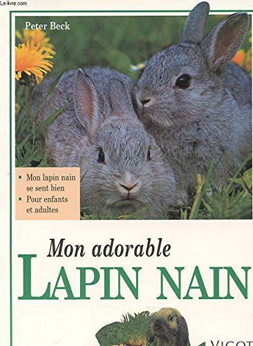 Mon adorable lapin nain