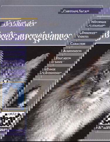 Le chat des forêts norvégiennes