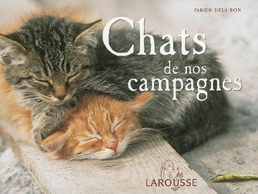 Chats de nos campagnes