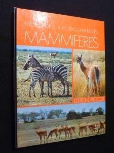 Safari photo à la découverte des mammifères