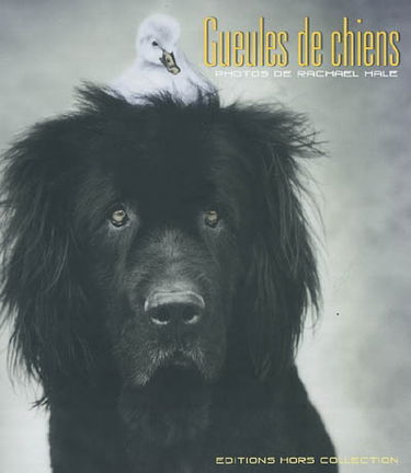 Gueules de chiens